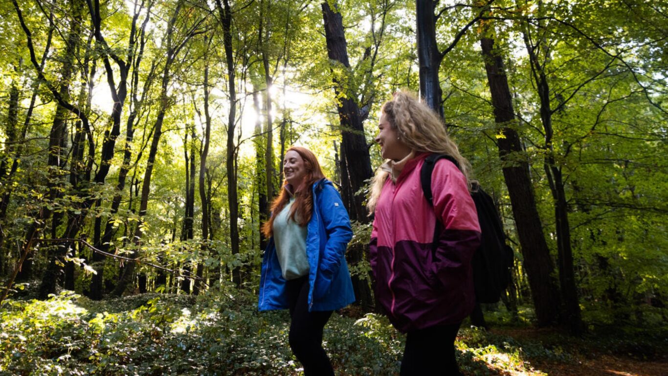 Beleek Forest Walk, Ballina, Co Mayo